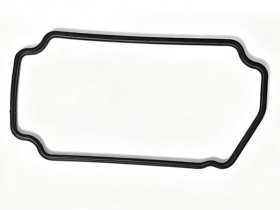 Gasket Seal 096446-0100
